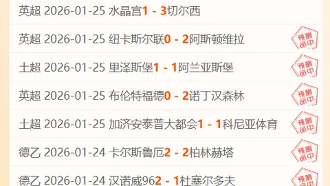 扬科维奇展望国足世界杯征程：瞄准冲击，提前体验奋斗之痛——澎湃报道